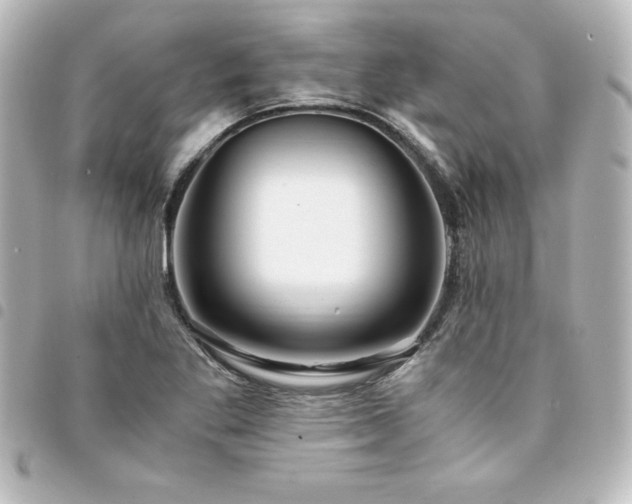 X0000094361269200711021502
