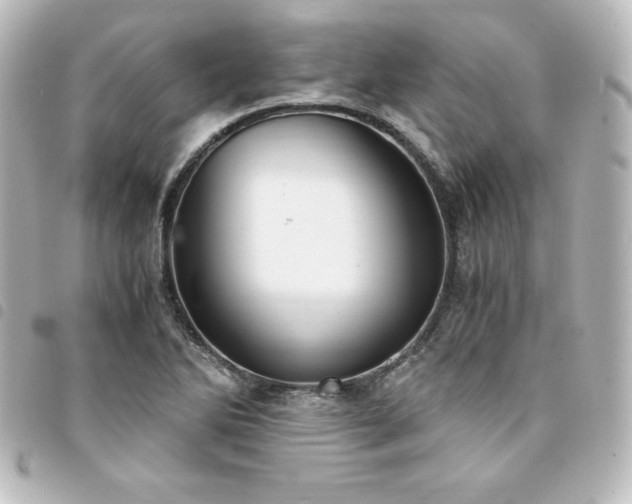 X0000094361270200711021502