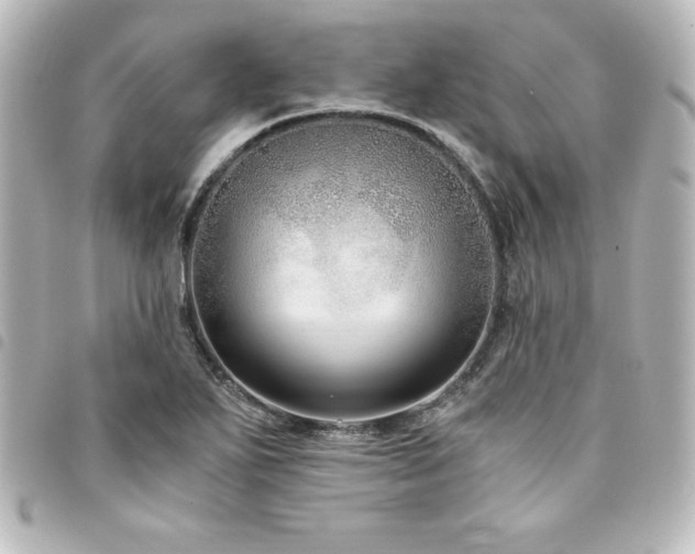X0000094361271200711021502