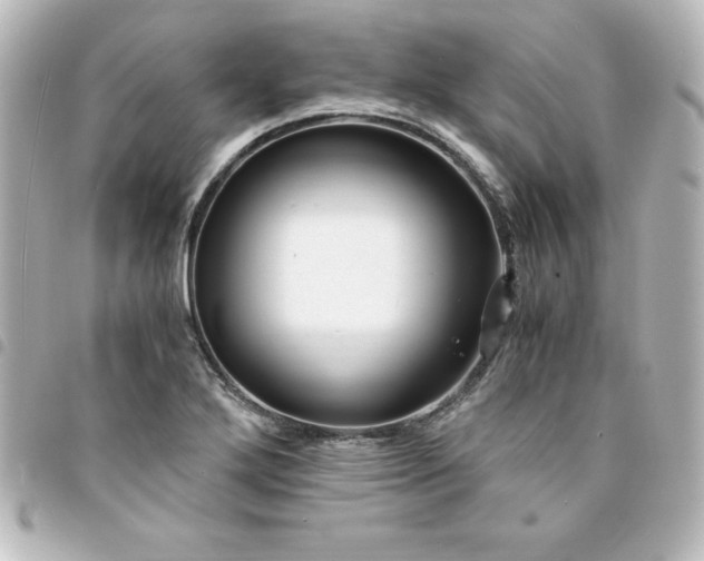X0000094361272200711021502