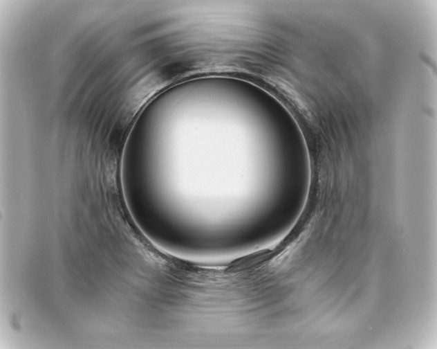 X0000094361273200711021502