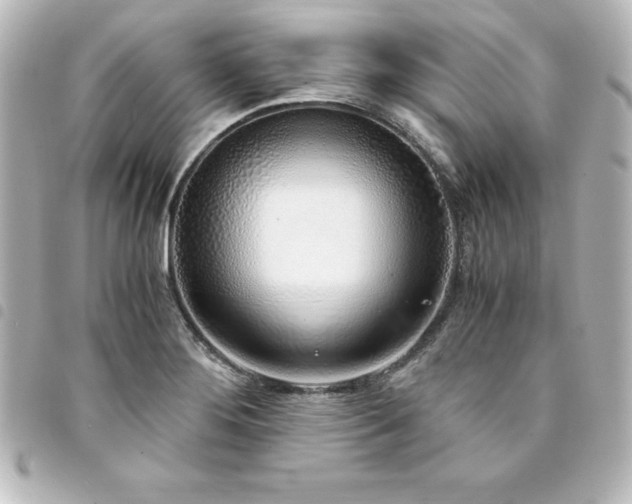 X0000094361276200711021502