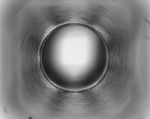 X0000094361280200711021502