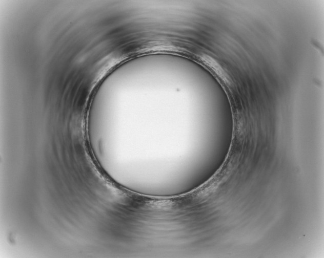 X0000094361282200711021502