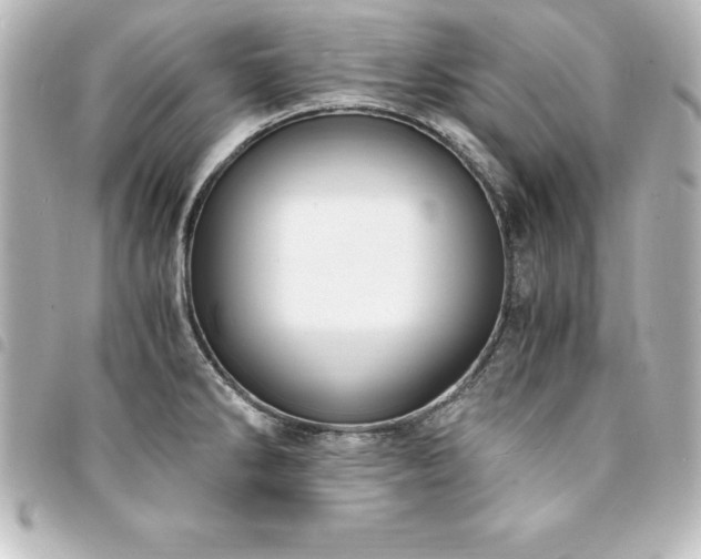 X0000094361286200711021502