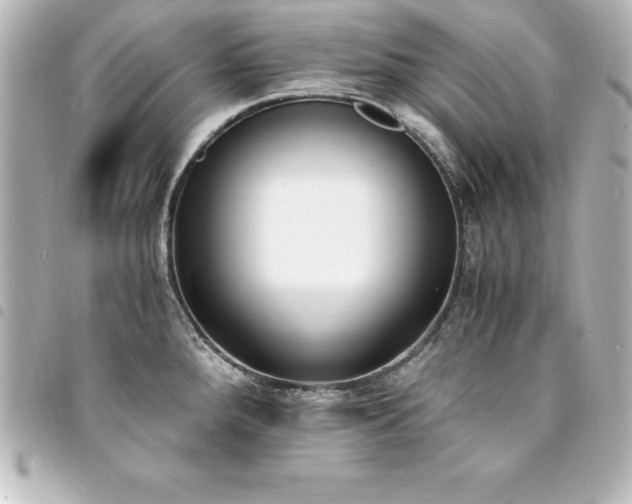X0000094361288200711021502