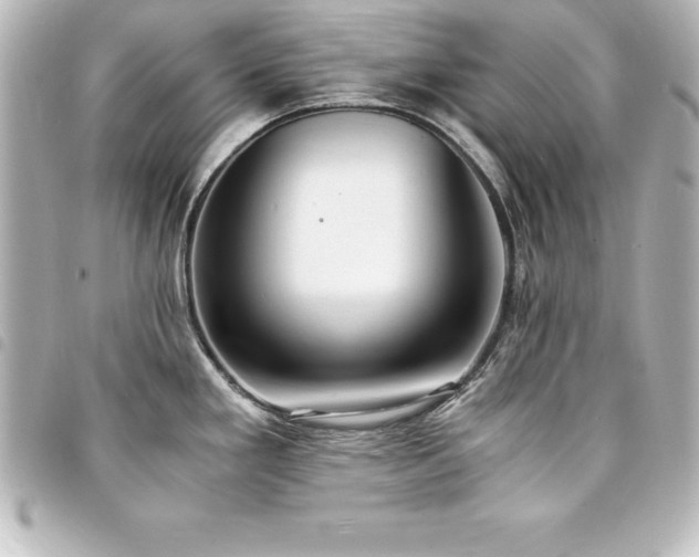 X0000094361293200711021502