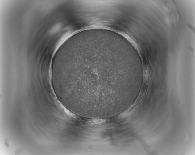 X0000094361294200711021502