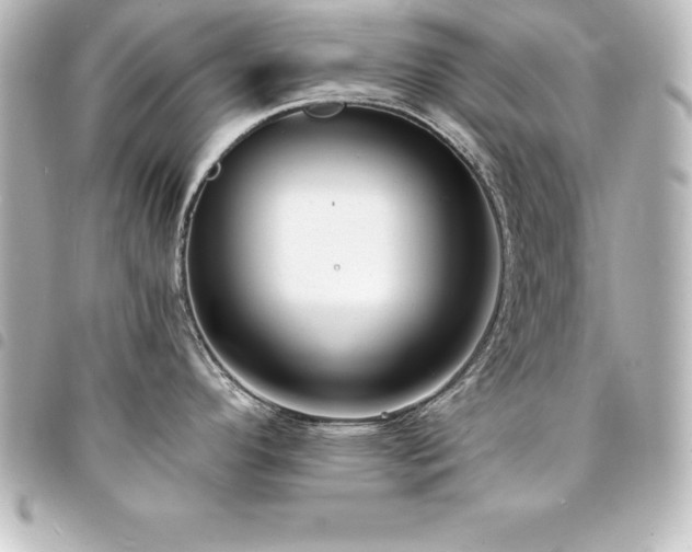 X0000094361296200711021502
