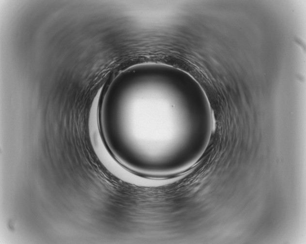 X0000094361298200711021501