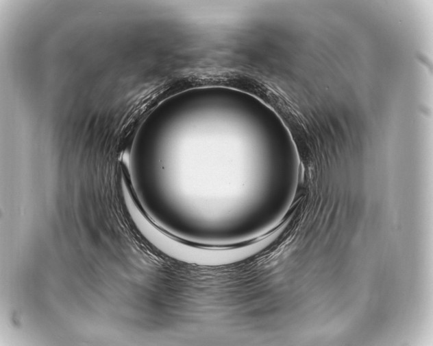X0000094361300200711021501