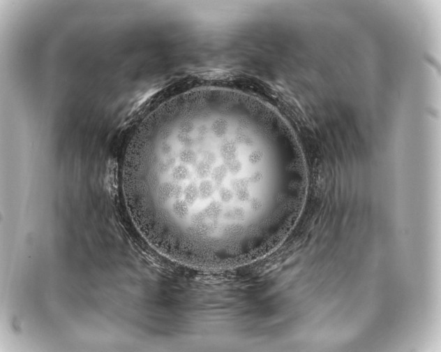 X0000094361301200711021501