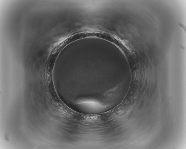 X0000094361303200711021501