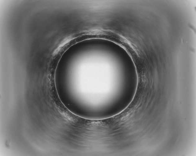 X0000094361304200711021501
