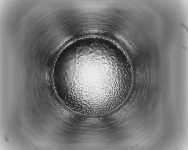 X0000094361305200711021501
