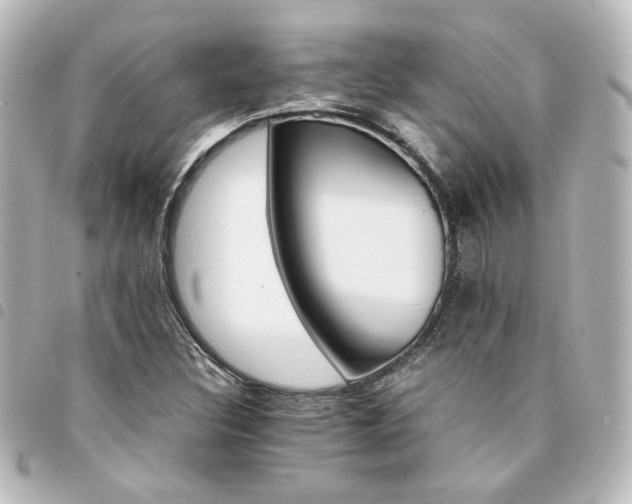 X0000094361308200711021501