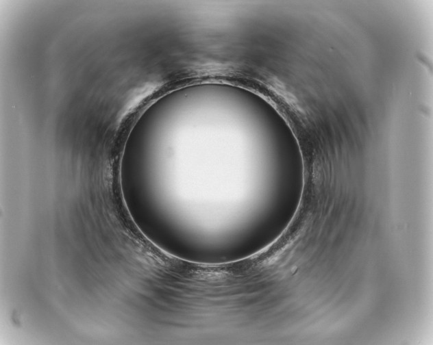 X0000094361309200711021501