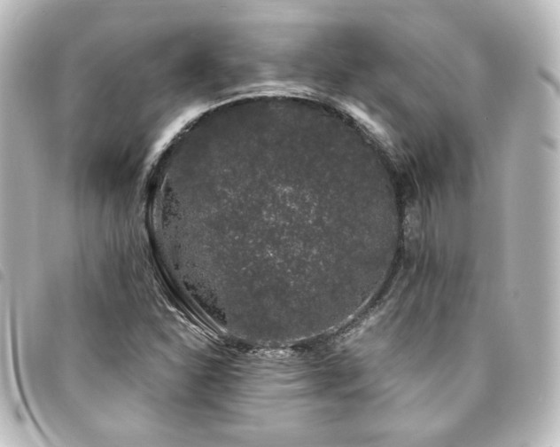 X0000094361310200711021501