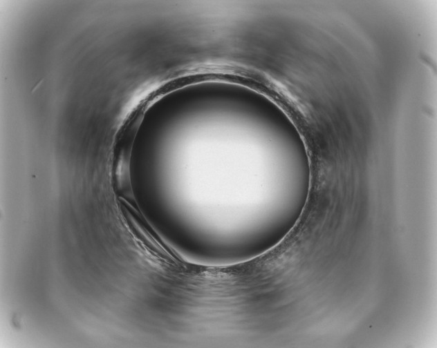 X0000094361312200711021501