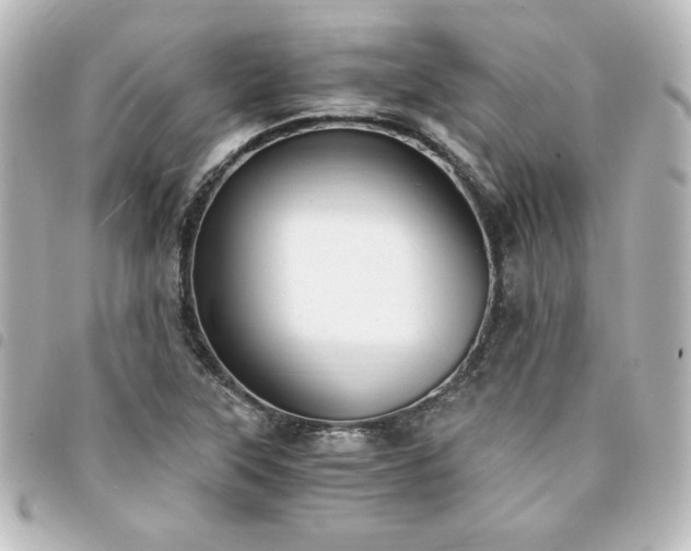X0000094361315200711021501