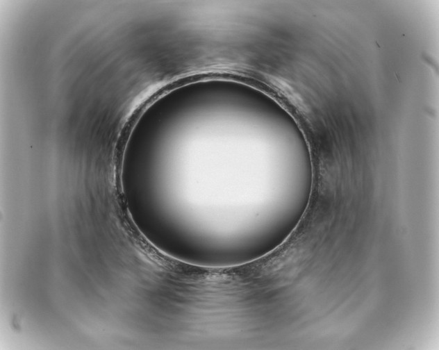X0000094361316200711021501