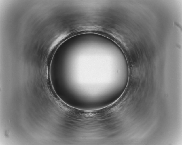 X0000094361317200711021501
