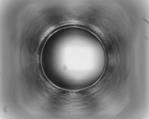 X0000094361318200711021501