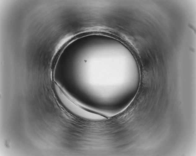 X0000094361320200711021501