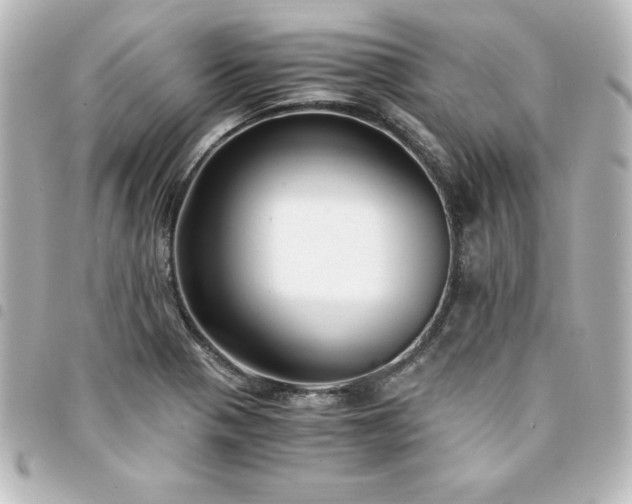 X0000094361321200711021501