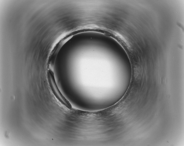 X0000094361326200711021501