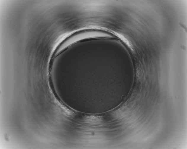 X0000094361327200711021501