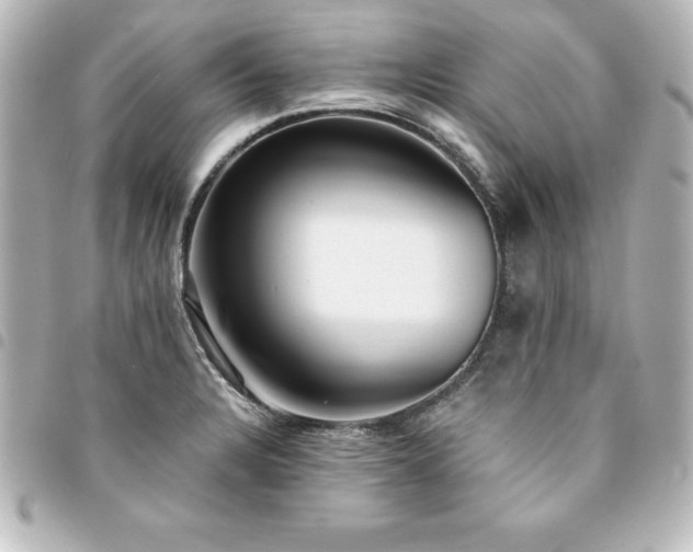 X0000094361328200711021502