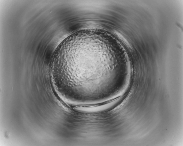 X0000094361329200711021502