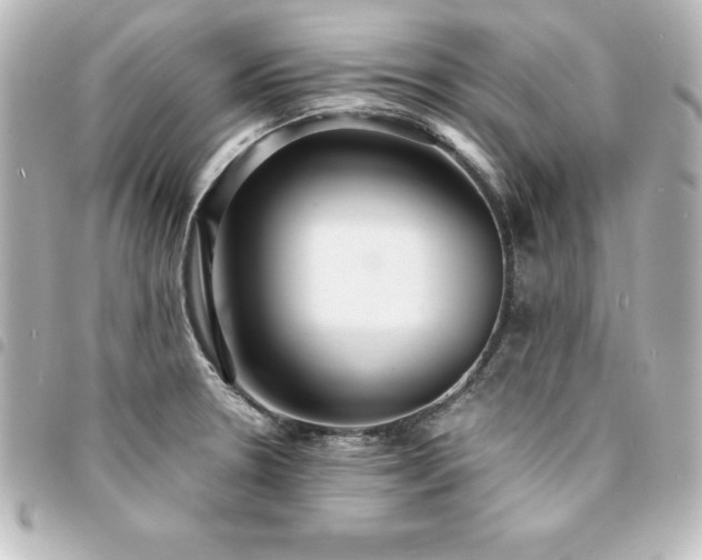 X0000094361330200711021502