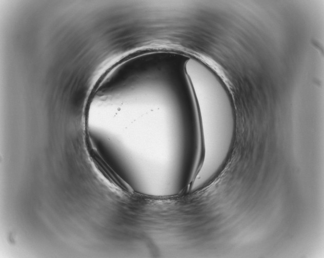 X0000094361335200711021502