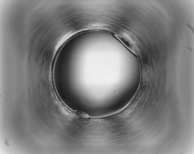 X0000094361336200711021502