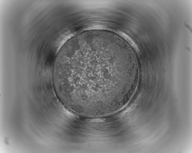 X0000094361337200711021502