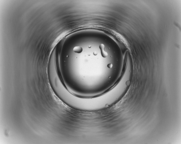 X0000094361338200711021502