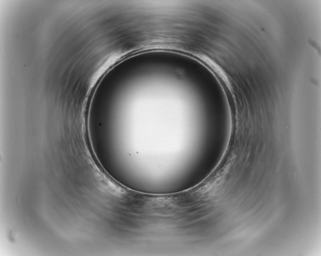 X0000094361341200711021502