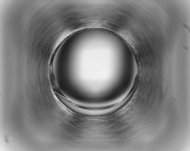 X0000094361342200711021502