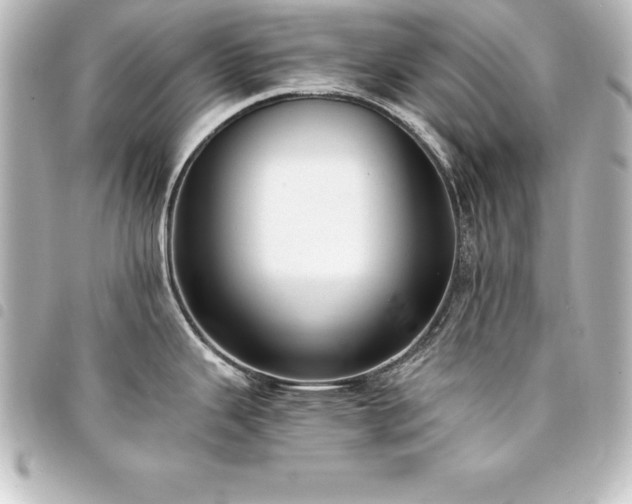 X0000094361343200711021502