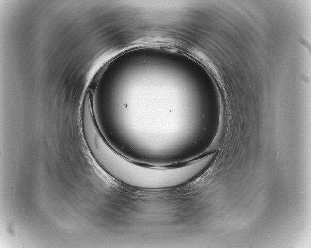 X0000094361344200711021502