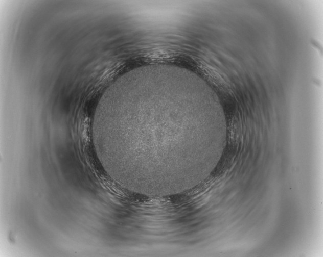 X0000094361346200711021501