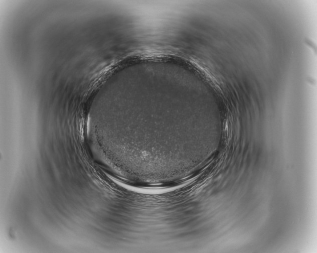 X0000094361348200711021501