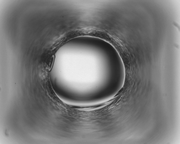 X0000094361349200711021501