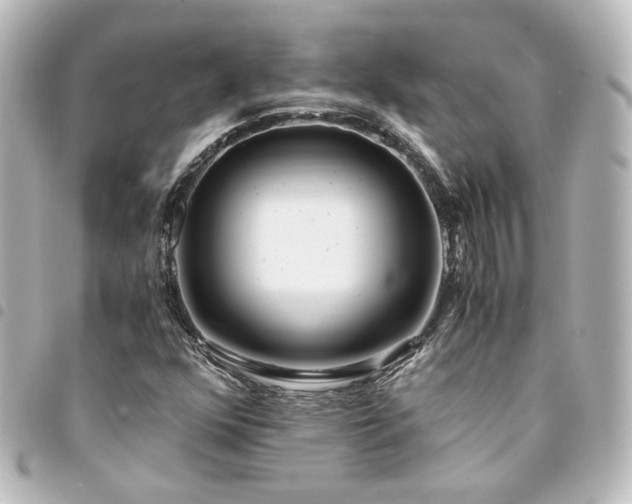 X0000094361352200711021501