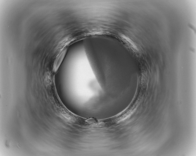 X0000094361353200711021501
