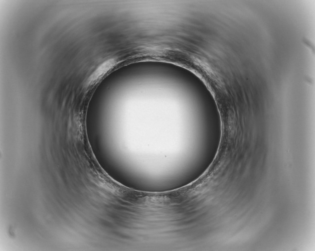 X0000094361354200711021501