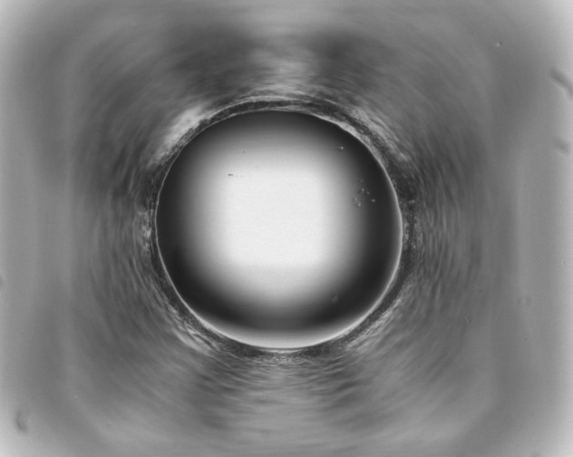 X0000094361355200711021501
