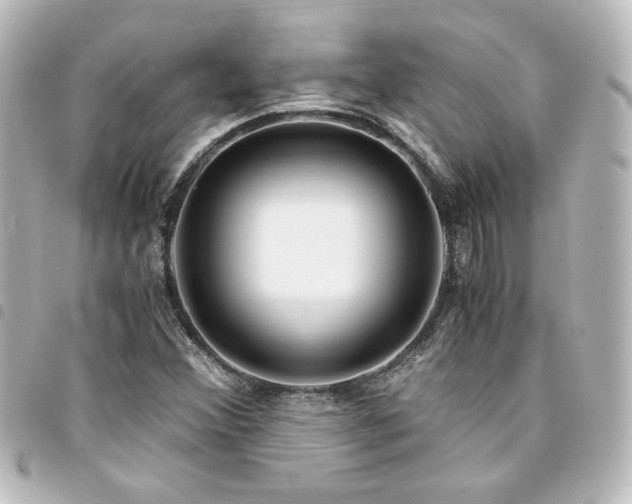 X0000094361356200711021501